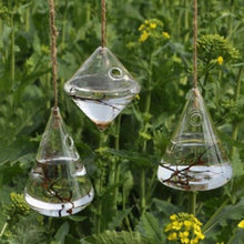 Hanging Clear Glass Terrarium, , Gifts for Designers, Clean minimal gifts for designers and creatives, gift, design, designer - Gifts for Designers, Gifts for Architects
