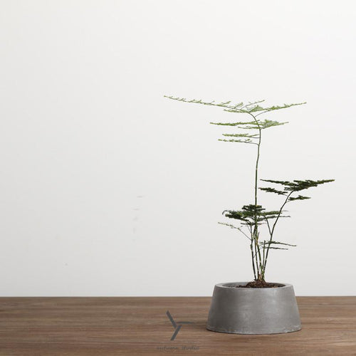 Minimal Desktop Cement Flower Pot, , Gifts for Designers, Clean minimal gifts for designers and creatives, gift, design, designer - Gifts for Designers, Gifts for Architects