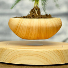 Floating Bonsai Plant Pot, , Gifts for Designers, Clean minimal gifts for designers and creatives, gift, design, designer - Gifts for Designers, Gifts for Architects