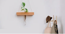 Wood Hydroponic Wall Plant Vase, , Gifts for Designers, Clean minimal gifts for designers and creatives, gift, design, designer - Gifts for Designers, Gifts for Architects