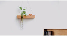 Wood Hydroponic Wall Plant Vase, , Gifts for Designers, Clean minimal gifts for designers and creatives, gift, design, designer - Gifts for Designers, Gifts for Architects